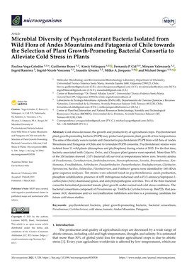 Microbial Diversity of Psychrotolerant Bacteria Isolated from Wild Flora Of