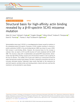 Structural Basis for High-Affinity Actin Binding Revealed by a ОІ-III-Spectrin