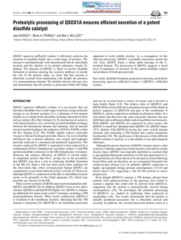 Proteolytic Processing of QSOX1A Ensures Efficient Secretion of A