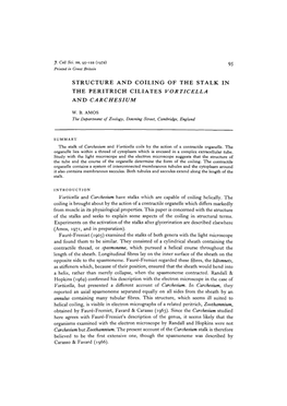 Structure and Coiling of the Stalk in the Peritrich Ciliates Vorticella and Carchesium