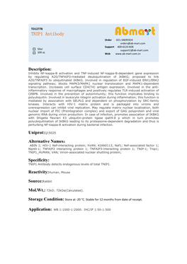 TNIP1 Antibody Order 021-34695924 Orders@Ab-Mart.Com Support 400-6123-828 50Ul Support1@Ab-Mart.Com 100 Ul √ √ Web