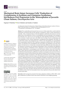 Mechanical Brain Injury Increases Cells' Production of Cystathionine