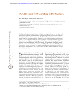 TCF/Lefs and Wnt Signaling in the Nucleus