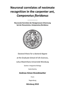 Neuronal Correlates of Nestmate Recognition in the Carpenter Ant