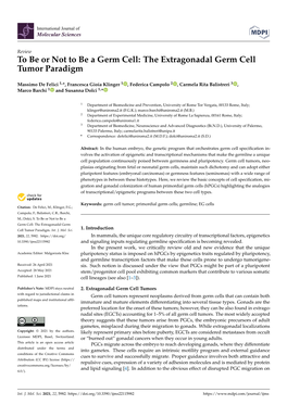 The Extragonadal Germ Cell Tumor Paradigm