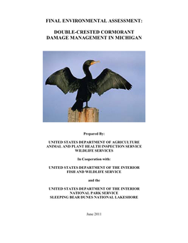 Double-Crested Cormorant Damage Management in Michigan