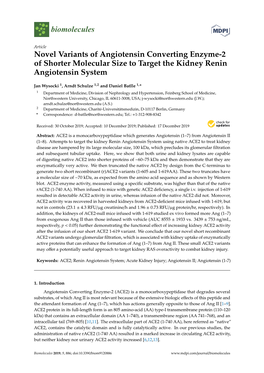 Novel Variants of Angiotensin Converting Enzyme-2 of Shorter Molecular Size to Target the Kidney Renin Angiotensin System