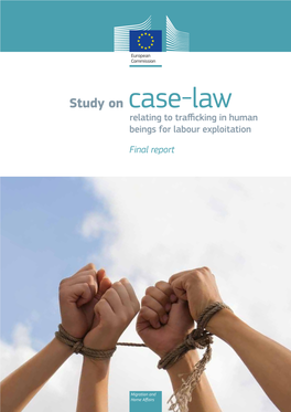 Study on Case-Law Relating to Trafficking in Human Beings for Labour Exploitation