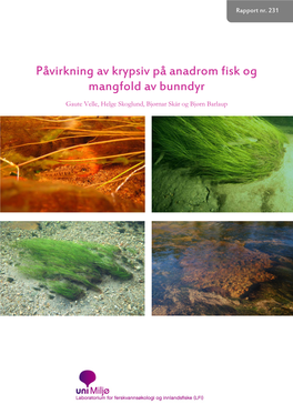 Påvirkning Av Krypsiv På Anadrom Fisk Og Mangfold Av Bunndyr