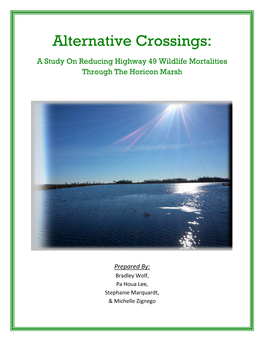 Alternative Crossings: a Study on Reducing Highway 49 Wildlife