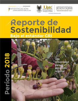 Reporte De Sostenibilidad Bajo El Estándar GRI