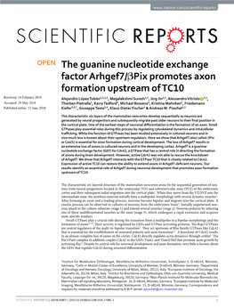 The Guanine Nucleotide Exchange Factor Arhgef7/Βpix Promotes Axon Formation Upstream of TC10