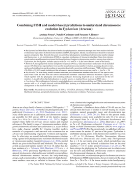 Combining FISH and Model-Based Predictions to Understand Chromosome Evolution in Typhonium (Araceae)