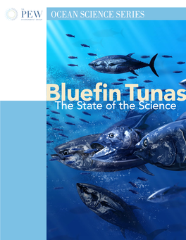 Bluefin Tuna