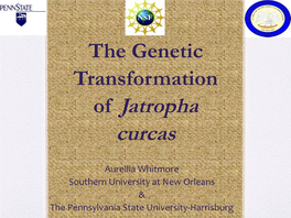 The Genetic Transformation of Jatropha Curcas