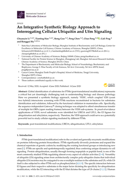 An Integrative Synthetic Biology Approach to Interrogating Cellular Ubiquitin and Ufm Signaling