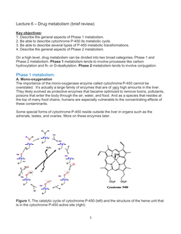 Lecture 6 – Drug Metabolism (Brief Review) Phase 1 Metabolism