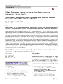 Unique Chromoplast Organisation and Carotenoid Gene Expression in Carotenoid‑Rich Carrot Callus