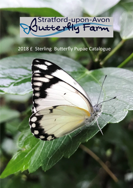 2018 £ Sterling Butterfly Pupae Catalogue