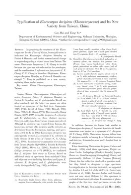 Typification of Elaeocarpus Decipiens (Elaeocarpaceae) and Its New Variety from Taiwan, China