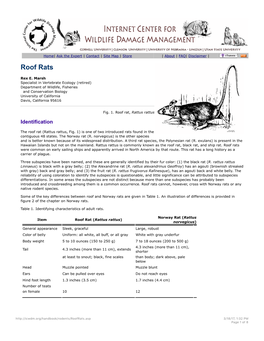 Roof Rat, Rattus Rattus, Management and Control