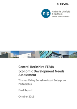 Central Berkshire FEMA Economic Development Needs Assessment