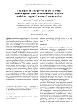 The Impact of Hud Protein on the Intestinal Nervous System in the Terminal Rectum of Animal Models of Congenital Anorectal Malformation