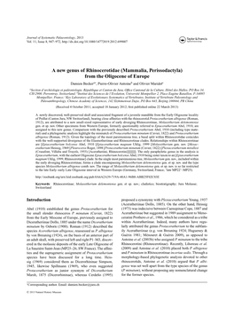 A New Genus of Rhinocerotidae (Mammalia, Perissodactyla)