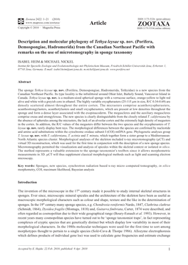 Zootaxa, Description and Molecular Phylogeny of Tethya