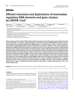 Efficient Inversions and Duplications of Mammalian Regulatory DNA