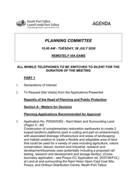 (Public Pack)Agenda Document for Planning Committee, 28/07/2020