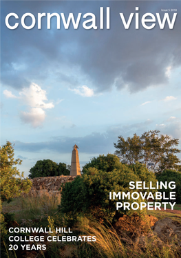 Selling Immovable Property