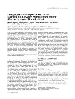 Ontogeny of the Complex Sperm in the Macrostomid Flatworm Macrostomum Lignano (Macrostomorpha, Rhabditophora)