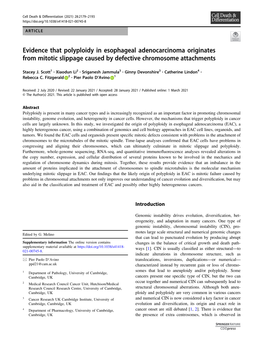 Evidence That Polyploidy in Esophageal Adenocarcinoma Originates from Mitotic Slippage Caused by Defective Chromosome Attachments