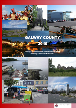 0555 Galway County Council