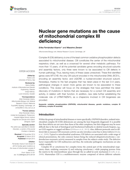 Nuclear Gene Mutations As the Cause of Mitochondrial Complex III Deficiency