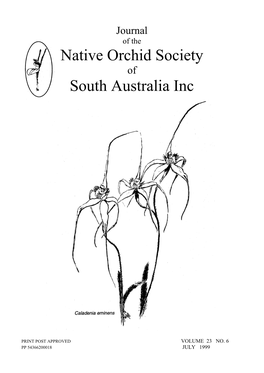 Native Orchid Society South Australia