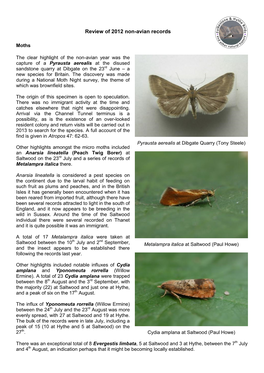 Moth Species Trapped Or Seen in 2004