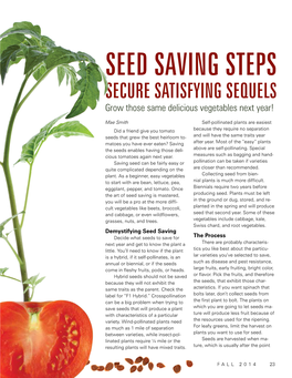 SEED SAVING STEPS SECURE SATISFYING SEQUELS Grow Those Same Delicious Vegetables Next Year!