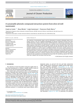 A Sustainable Phenolic Compound Extraction System from Olive Oil Mill Wastewater