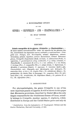 Genera « Crinjpellis » and « Chaetocalathus