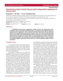 Homeobox Protein Ventx Induces P53-Independent Apoptosis in Cancer Cells