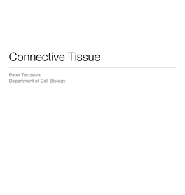 Connective Tissue