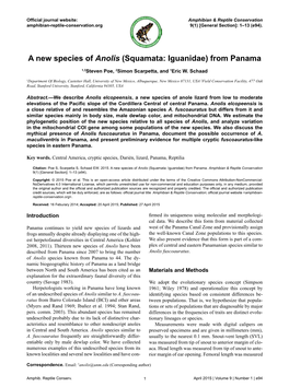 A New Species of Anolis (Squamata: Iguanidae) from Panama