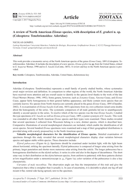 A Review of North American Elonus Species, with Description of E