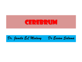 CEREBRUM (2).Pdf