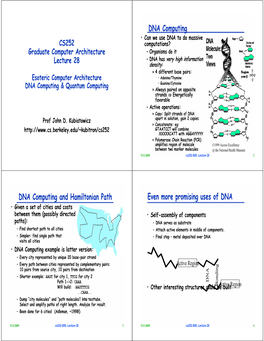 DNA Computing