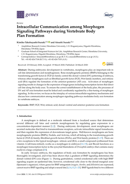 Intracellular Communication Among Morphogen Signaling Pathways During Vertebrate Body Plan Formation