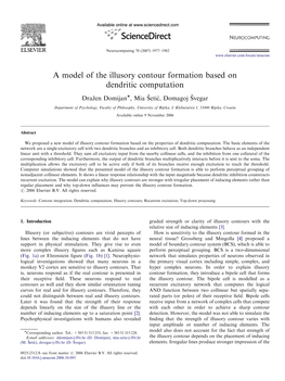 A Model of the Illusory Contour Formation Based on Dendritic Computation