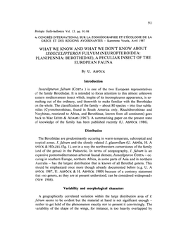 What We Know and What We Don't Know About I Soscelipteron Ful Vum (Neuropteroidea: Planipennia: Berothidae), a Peculiar Insect O